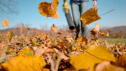 CLOSE UP, DOF: Flying colourful autumn foliage blown by a portable leaf blower. Clearing of dry...