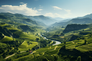 A peaceful vineyard with rolling hills. Concept of countryside paradise. Generative Ai.