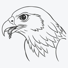 Elegant Black Kite Bird Line Art , Detailed and Graceful Illustration
