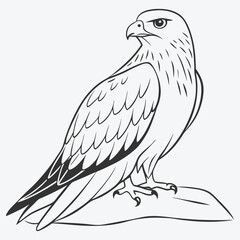 Black Kite Bird Standing - Elegant Line Art Illustration