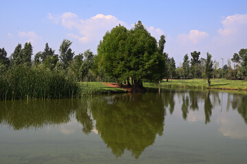 Fototapeta premium paisaje con lago y árboles en reflejo