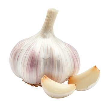 A single garlic bulb with two cloves on a white background.
