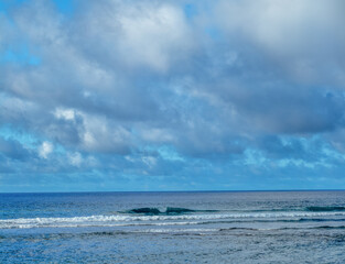 Fototapeta premium Glassy Wave Breaking on a Reef at Diamond Head Beach in Hawaii.