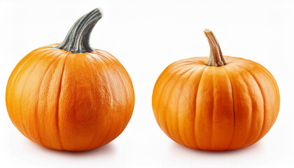 Obraz premium Pumpkin isolated on white background, clipping path, full depth of field