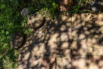 The shadows of the plants and trees in a garden, casted by the midday sun over the rustic clay floor and some rocks of a rural house in central Colombia.