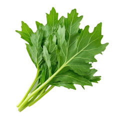 Fresh green leaves of arugula arranged on a white background, perfect for culinary and health concept stock photos.