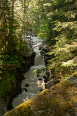 Obraz premium Saint Andrews Creek Rushes Down The Mountains Full Of Snow Melt