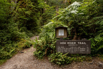 Sign at the Trailhead of the Hoh River Trail © kellyvandellen