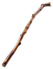 PNG Walking stick white background driftwood brown.