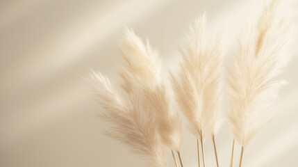 pampas grass with long, slender leaves and fluffy beige plumes against an isolated muted cocoabackground