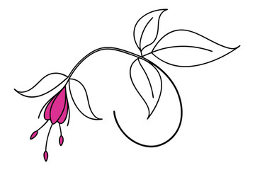 Single Line Drawing of Fuchsia with Branch Minimalist Line Art Vector Illustration