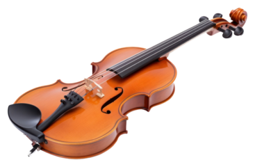 PNG  Violin white background performance orchestra.