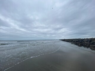 Moody beach in winter