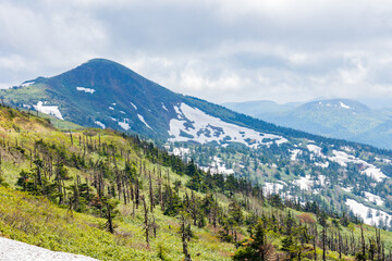 日本の風景・春　雪解けの八幡平から岩手山を望む