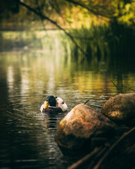 Gdańsk © Tomasz Piotrowicz