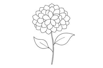 Line Drawing of Hydrangea Detailed Line Art Vector