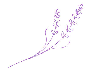 Elegant Line Drawing of Lavender Minimalist Vector Art