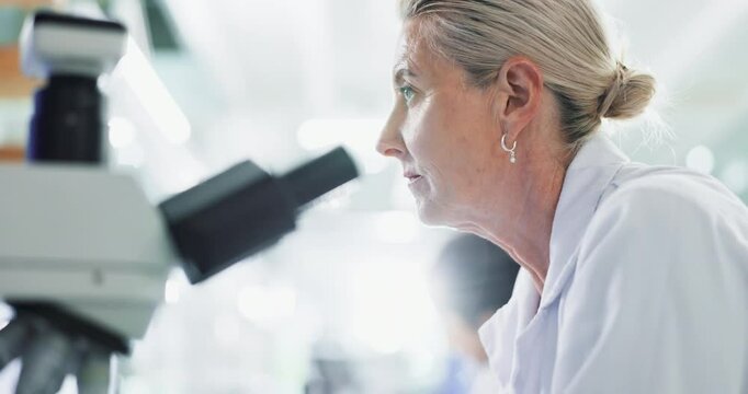 Science, mature and scientist in laboratory with microscope for observation, medical and biology experiment for study. Woman, biotechnology and clinical analysis for disease diagnosis and lens flare.