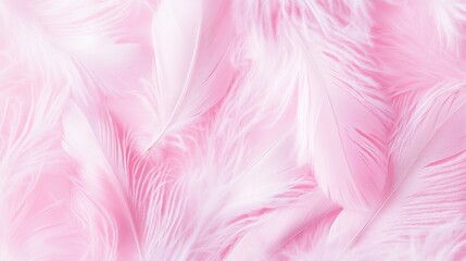 Obraz premium Soft Pink Feathers Background