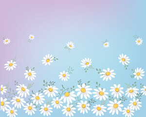 Obraz premium daisy watercolor gradient.eps
