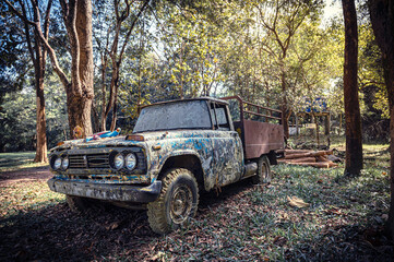 old abandoned car in the forest.