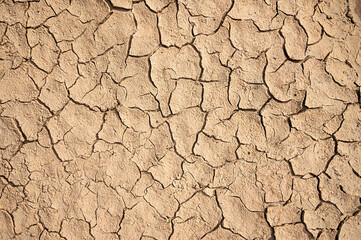 dry cracked soil