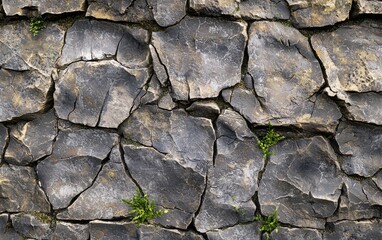 Fototapeta premium Intricate Details of Weathered Stone Surface Showcasing Cracks and Small Greenery, Offering a Glimpse Into Nature's Textures