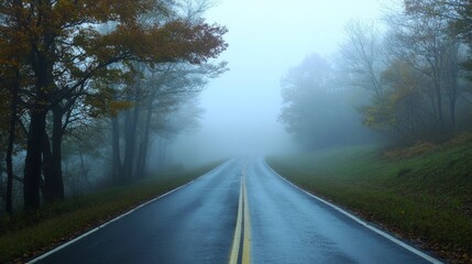 Fototapeta premium Foggy Road Through Autumn Trees