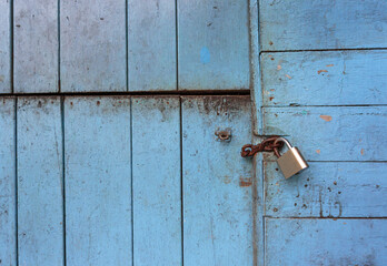 Wooden Trail Through the Amazon Rainforest