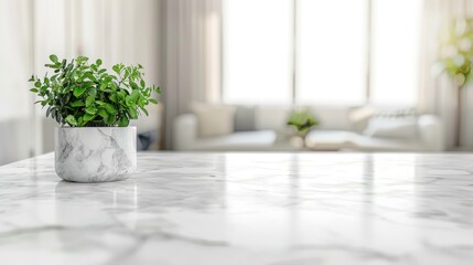 Fototapeta premium White Marble Table with a Green Plant in a White Pot
