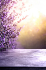 Blurred Lavender Field with Purple Blossoms for a Dreamy, Tranquil Scene