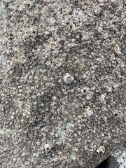 Stone and sand grit texture