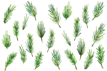 Set with green pine leaves and branches pattern. Watercolor pine leaves winter pattern Isolated on white background vector illustration set.