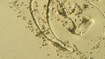 Scratches in the sand