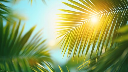 Obraz premium Palm Leaf Backlit by Sunlight with a Blurred Background
