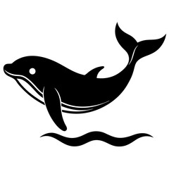 dolphin isolated on white
