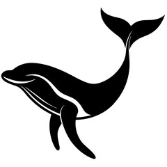 silhouette of a bird