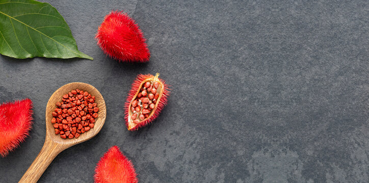 Organic annatto plant - Bixa Orellana red seeds