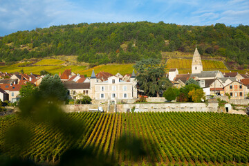 Obraz premium Panoramic view of Saint-Aubin village in France famous for its vineyards