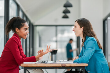 Two women engaged in a professional discussion at a modern office table, with large windows and natural light.