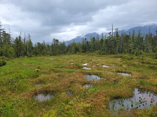 lake in the mountains