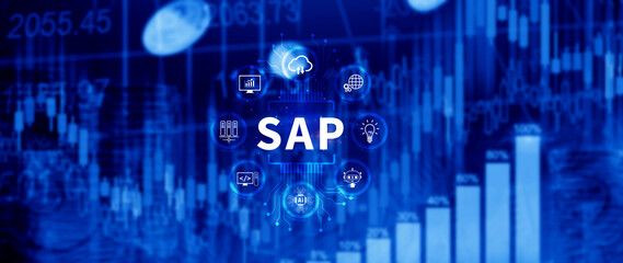 SAP system concept, SAP System Application Products, Business process automation and management software concept, management solutions.