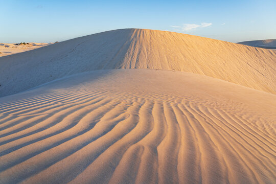 Detailed view of ripples and patterns on the side of sand dunes