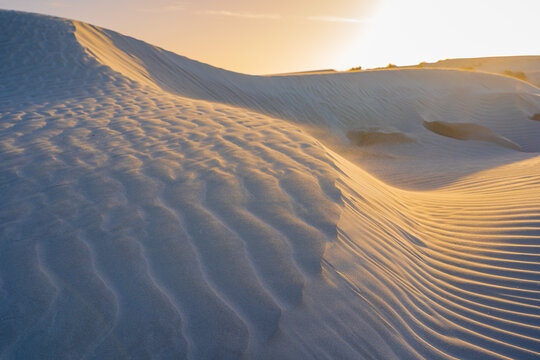 Detailed view of ripples and patterns on the side of sand dunes at sunset