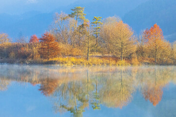 Morning view of maple trees with light fog on Yongdam Lake with refleciton in autumn near Jinan-gun, South Korea