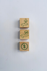 concept Carbon Credit, Three wooden blocks with a green leaf and dollar sign on them.