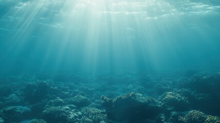 Underwater Sunlight Beams Over Coral Reef