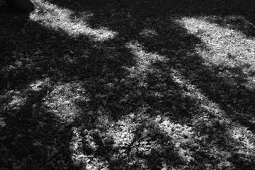 black and white background