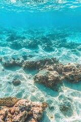 Fototapeta premium Underwater Seabed with Coral Reef and Rocks