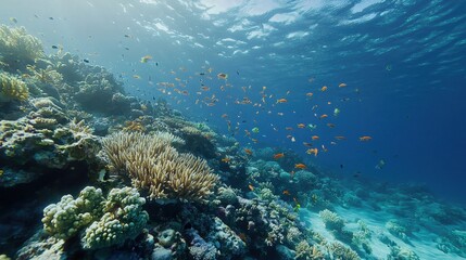 Fototapeta premium Underwater Coral Reef with Colorful Fish and Sunbeams